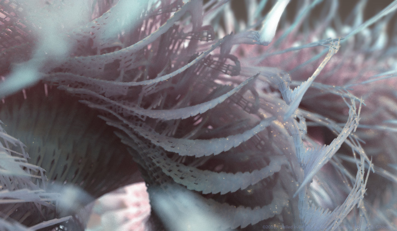 Zbrush Sculpture Day 4067 - Veiled in Swirls