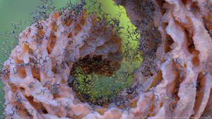 Zbrush Sculpt Day 4072 - Curled in Consideration