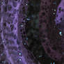 Zbrush Sculpture Day 4111 - Porous Threshold