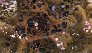 Zbrush Sculpture Day 4141 - Glow in the Hollow
