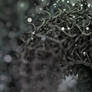 Zbrush Sculpture Day 4142 - Dark Entanglement