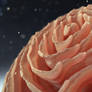 Zbrush Sculpture Day 4175 - Floral