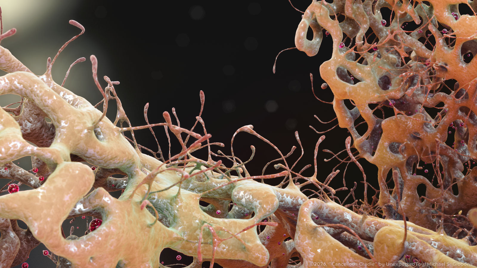 Zbrush Sculpture Day 4243 - Cancellous Cradle