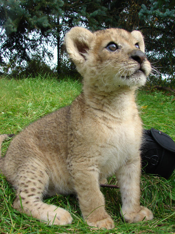 seeing what you did thar