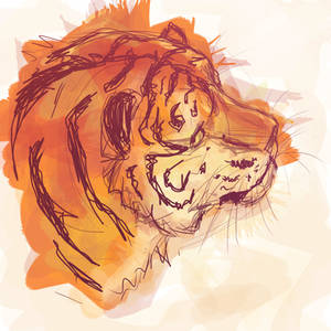 Tiger Paint