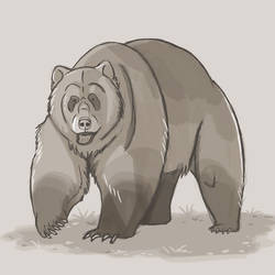 Day 5: Grizzly Bear