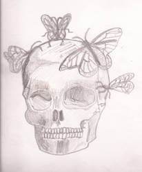 Skull Butterflys