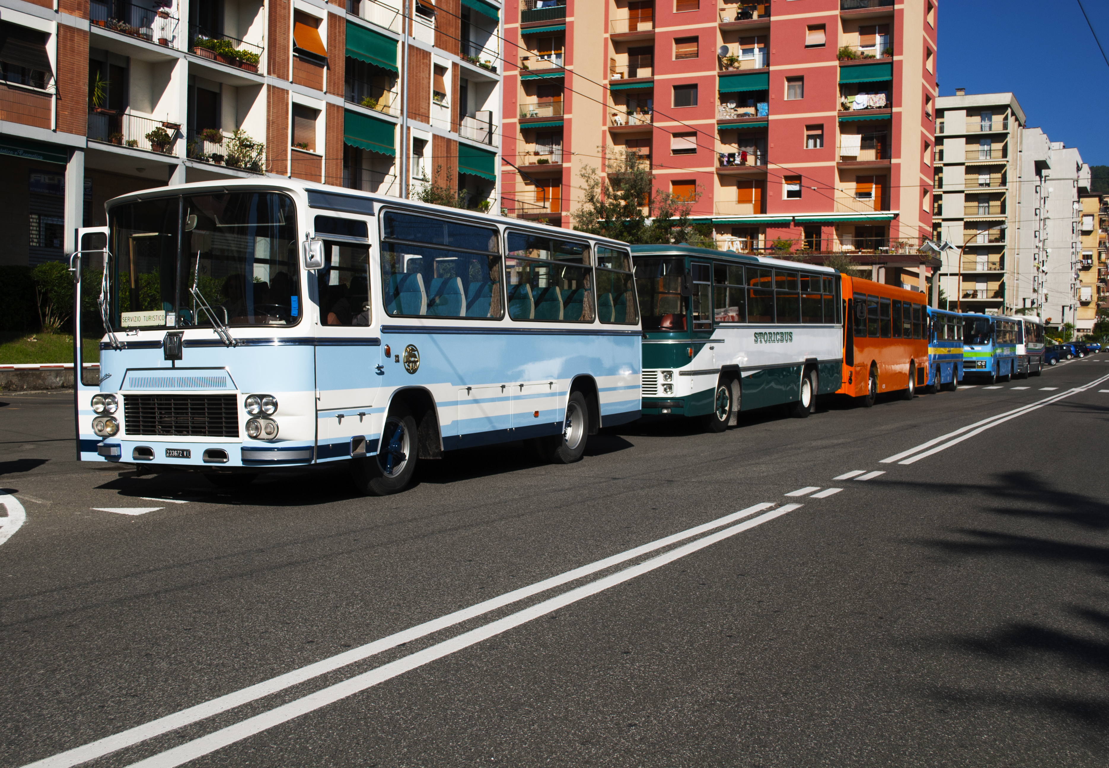 Buses's parade