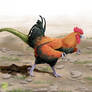Cockatrice