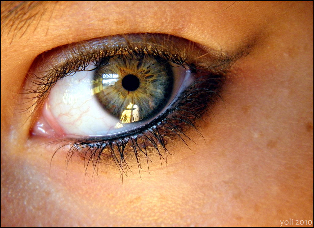 Золотые глаза 6. Зелёный Хазел цвет глаз. Серо зелено карие глаза. Голубо зелено карие глаза. Зелено янтарные глаза.