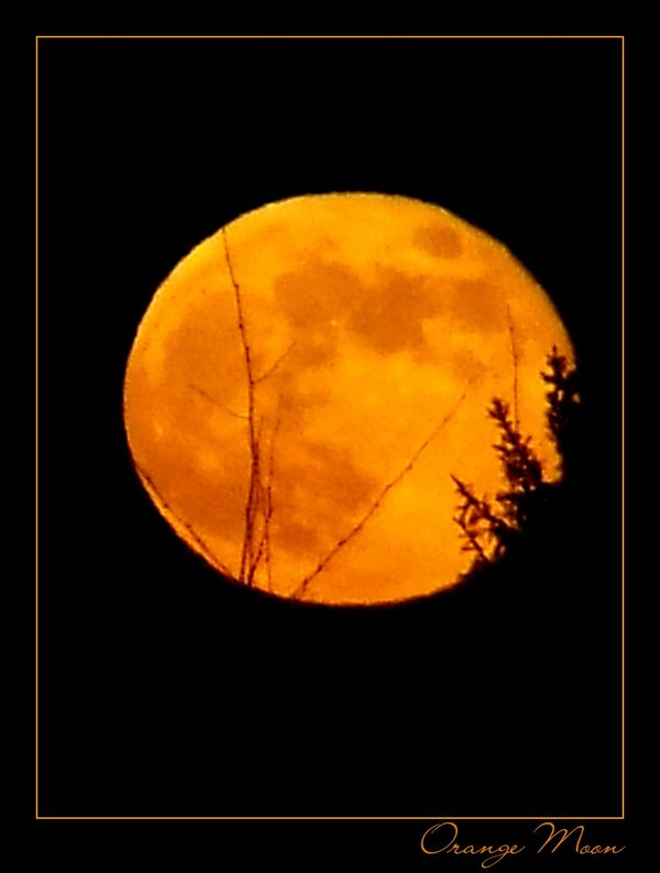 Orange Moon