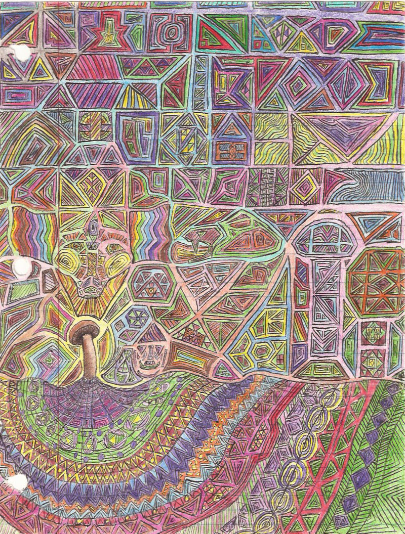 images Trippy Mushroom Visuals mushroom visuals by aciiiidtrip on