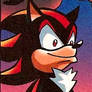 Shadow is pleased