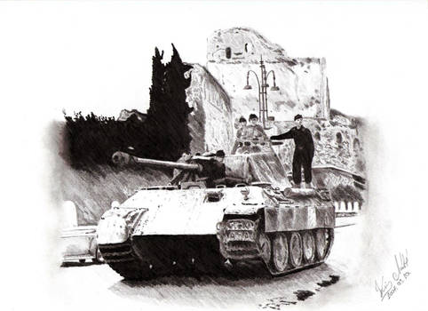 Panther in Italy