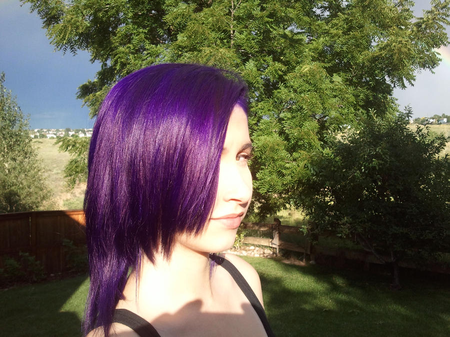Purple Hair By Emo Black Cat On Deviantart