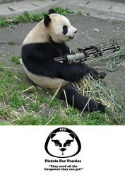 guns for pandas