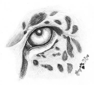 Jaguar eye
