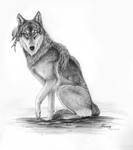 Wolf sketch by LarimarDragon