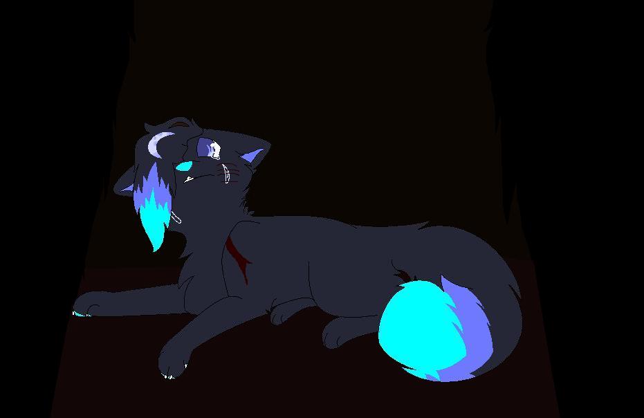 Why My Friend by eclipsewolf25