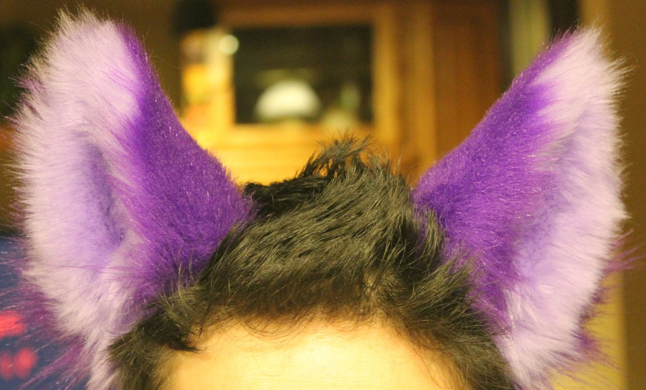 Pretty Purple Animal Ears