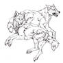 Wolf Couple- Free Lines