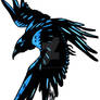 Raven Tatoo