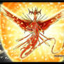 The Sun Dragon