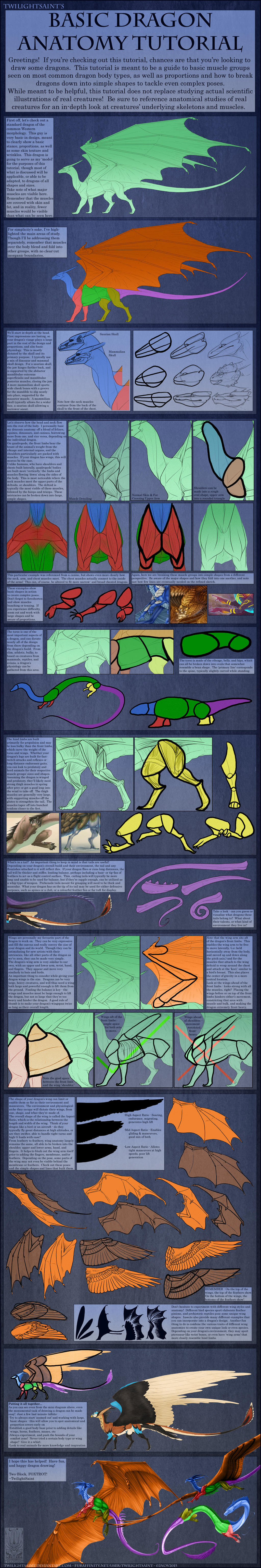 Tutorial - Basic Dragon Anatomy 2015