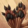 Paw Comish - Webbed Toes