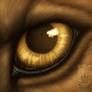 Eye-Con Comish - Golden Gazing