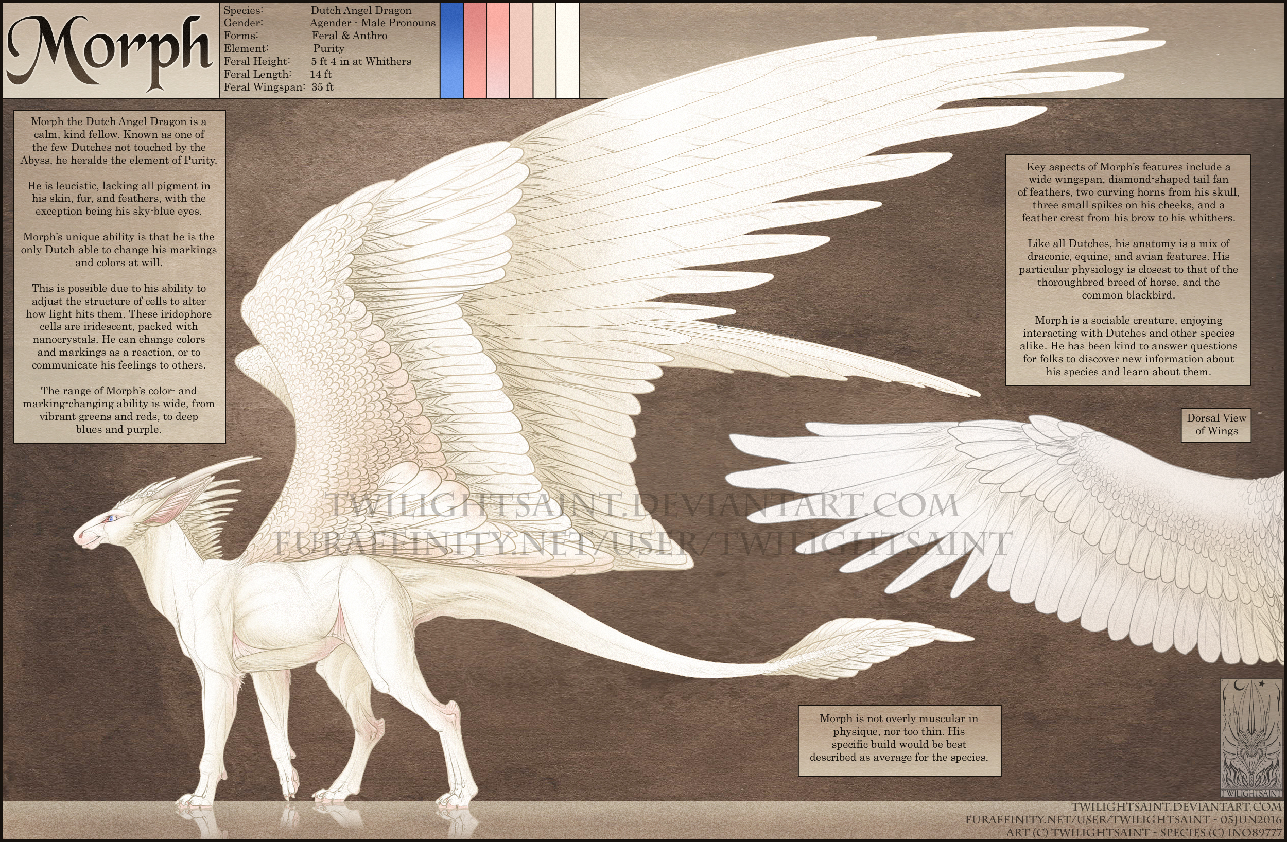 Ref Sheet - Morph