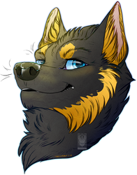 Sketched Bust Comish - Cool Canine