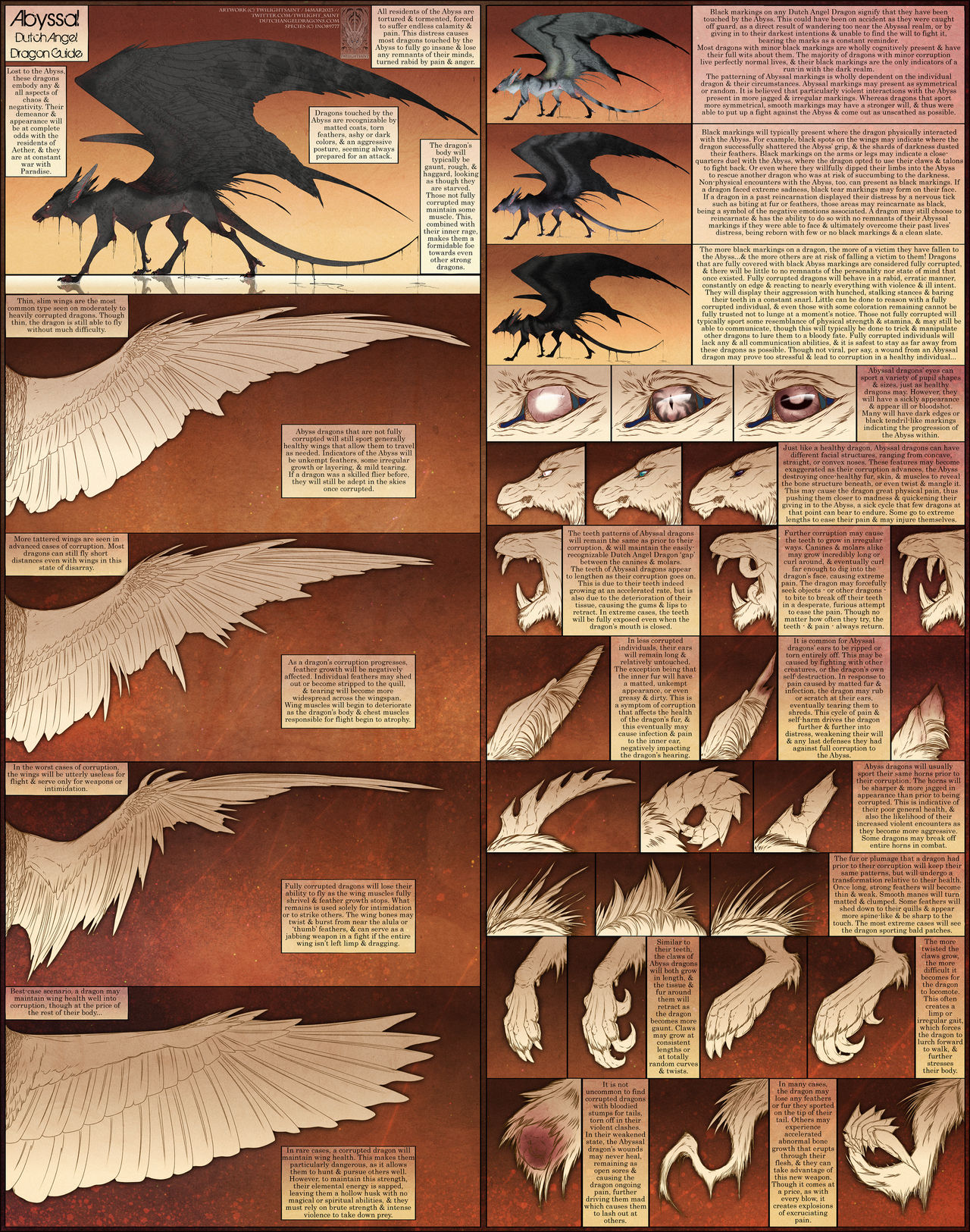 Ref Sheet - Abyssal Dutch Angel Dragon Field Guide by TwilightSaint on ...