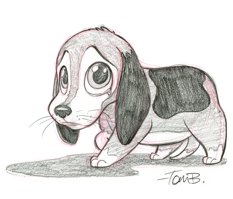 Sad Beagle