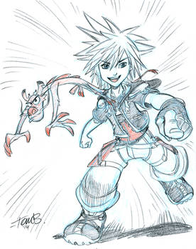 Sora and friend