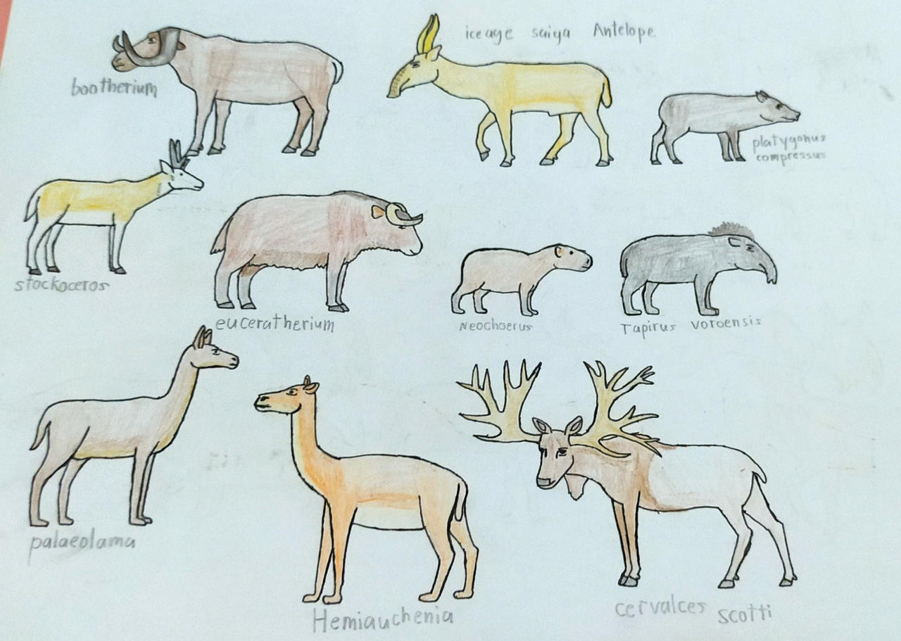 north american megafauna