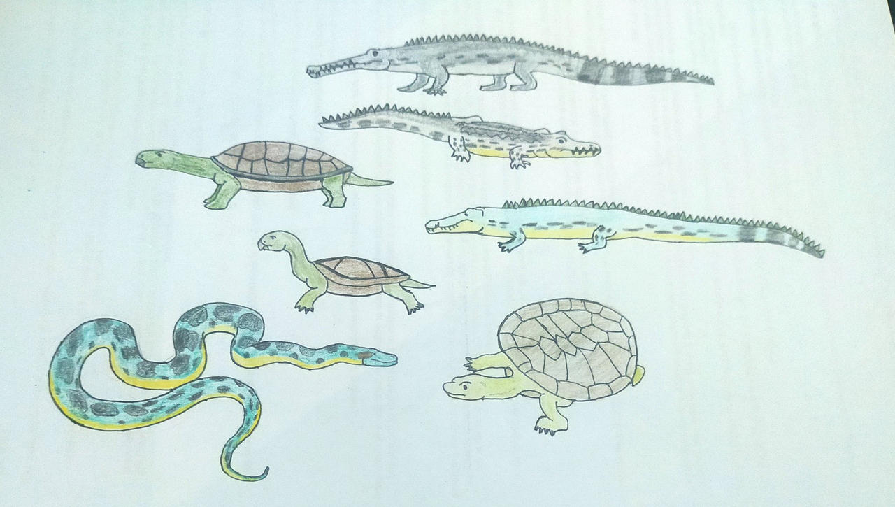 the paleocene massive reptiles by torm28 on DeviantArt