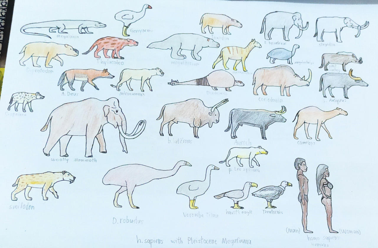 Pleistocene Megafauna Short by torm28 on DeviantArt Pleistocene Megafauna Short by torm28 on DeviantArt