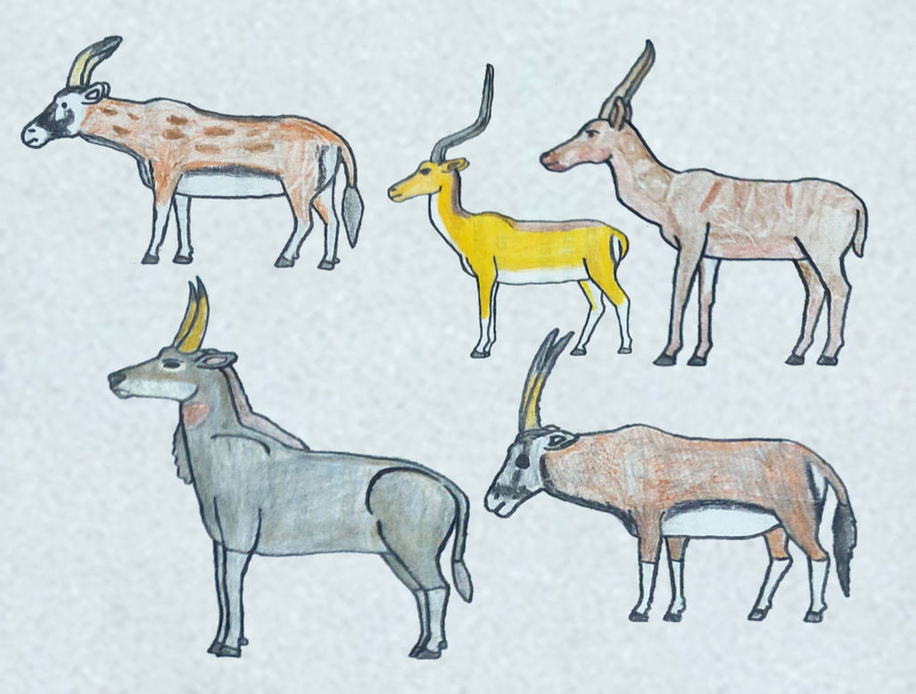 Protoryx Ancient Antelope Bovids by torm28 on DeviantArt