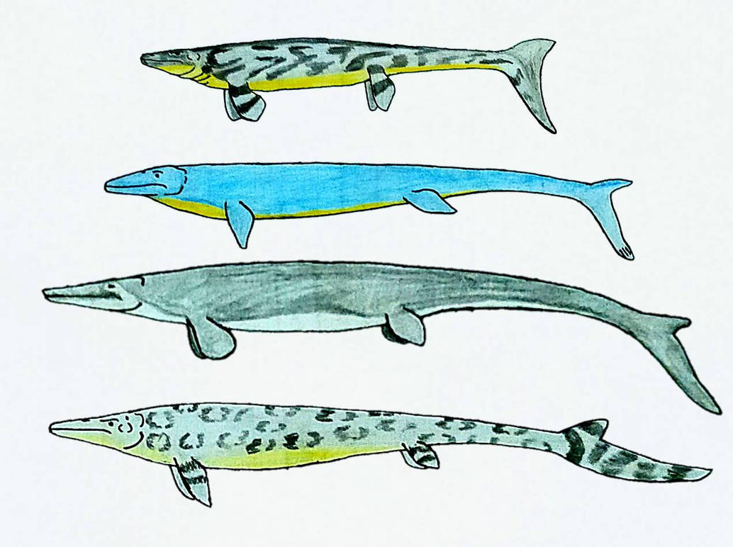 The Mosasaurs by torm28 on DeviantArt