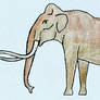 Southern Mammoth (Mammuthus meridionalis)