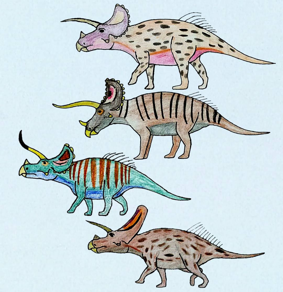 Three Triceratops Relatives And A Torosaurus By Torm28 On DeviantArt three-triceratops-relatives-and-a-torosaurus-by-torm28-on-deviantart