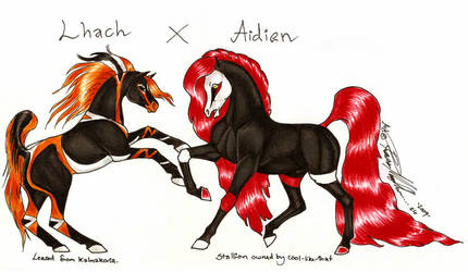 Breeding pic Lhach X Aidien