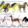 Moons Equine forms Reff Sheet