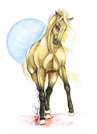 Dressage Palomino