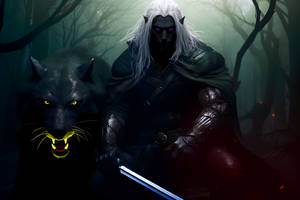 DND. Drizzt Do'Urden and his friend Guenhwyvar.