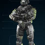 Halo Reach Armory 2nd Color Olive