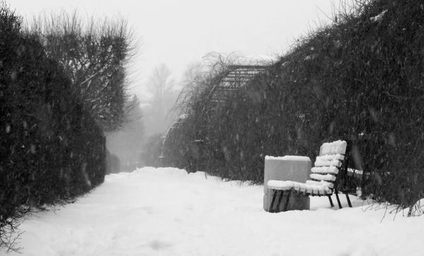Forgotten bench by Desiderata84 on DeviantArt