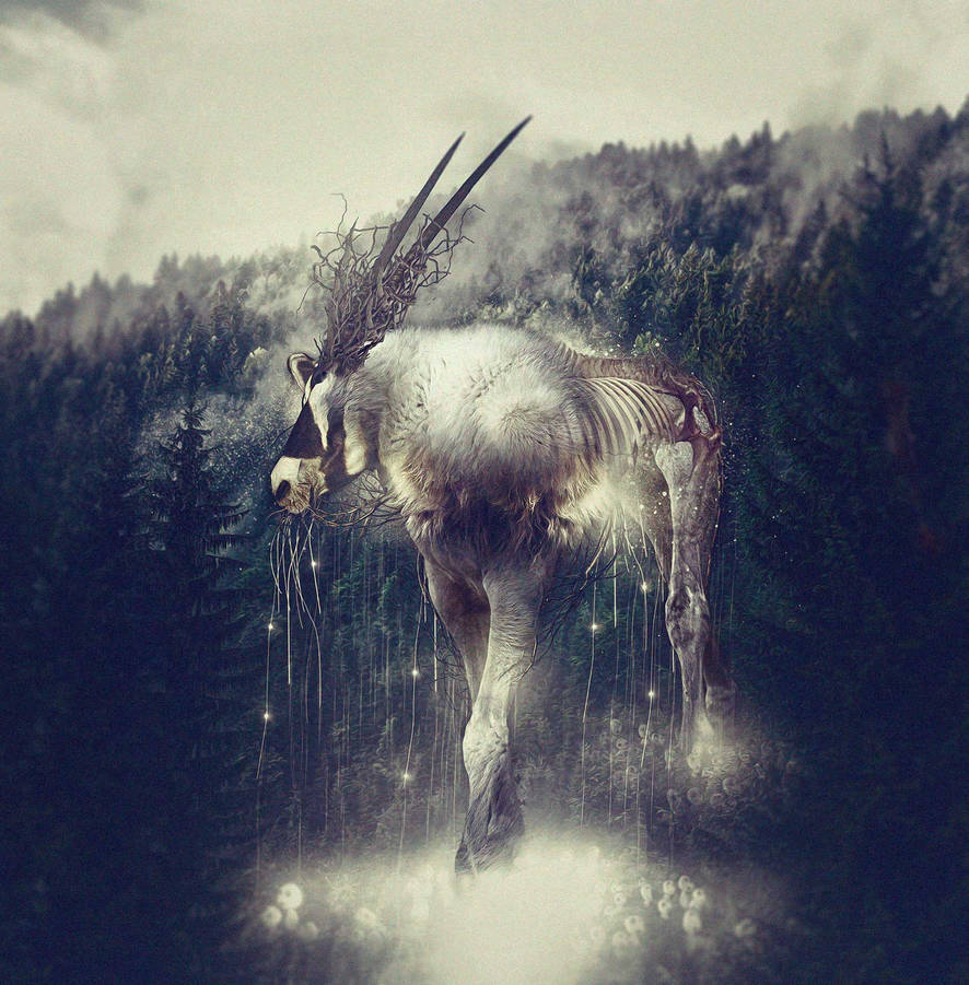 The Forest Spirit