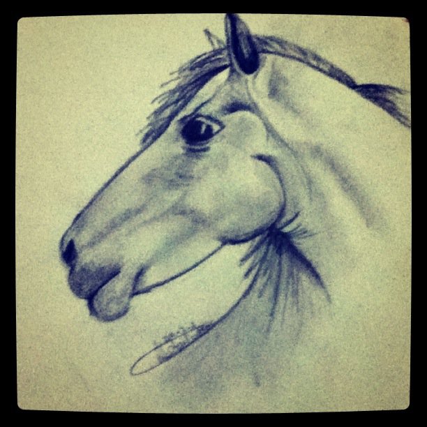 horse